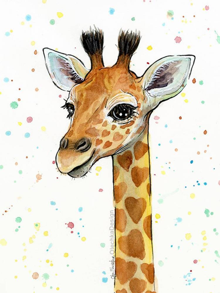 Рисунок жираф для срисовки карандашом