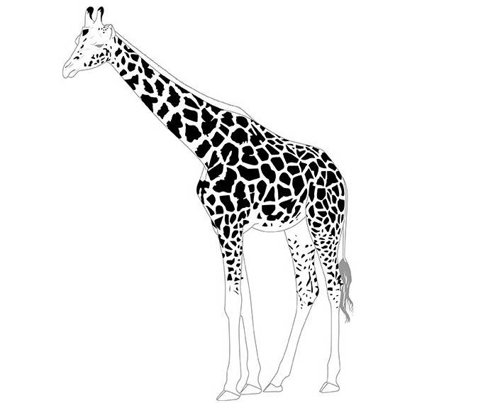 Смотреть ✓ Рисунки жирафа для рисования