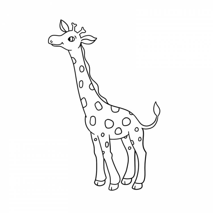 Как нарисовать жирафа