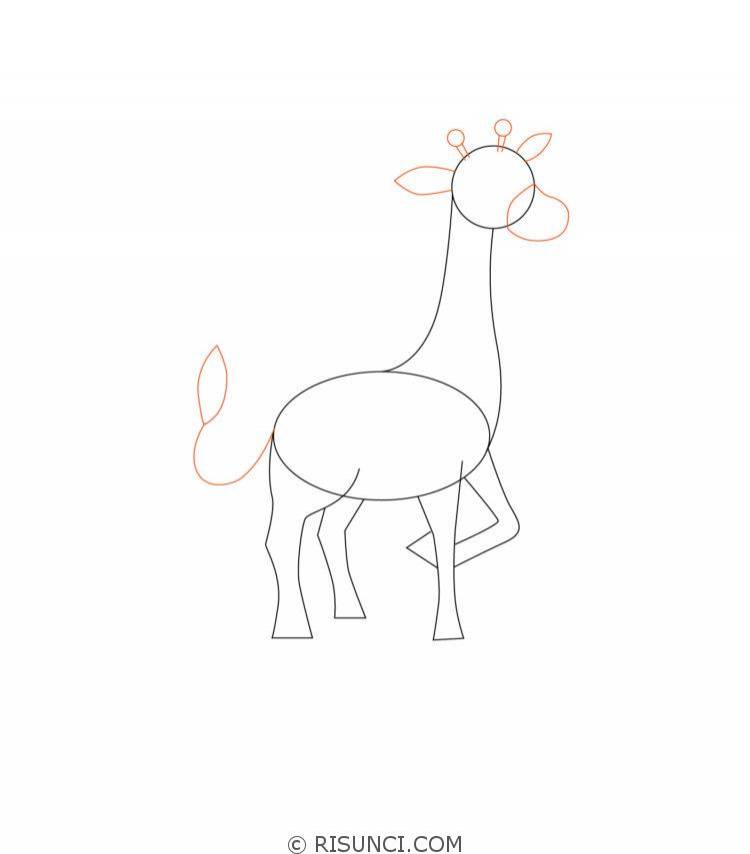 Как нарисовать жирафа поэтапно? Рисунки карандашом поэтапно