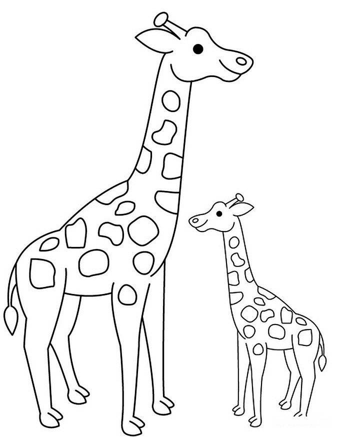 Африканские животные рисунок легкий 