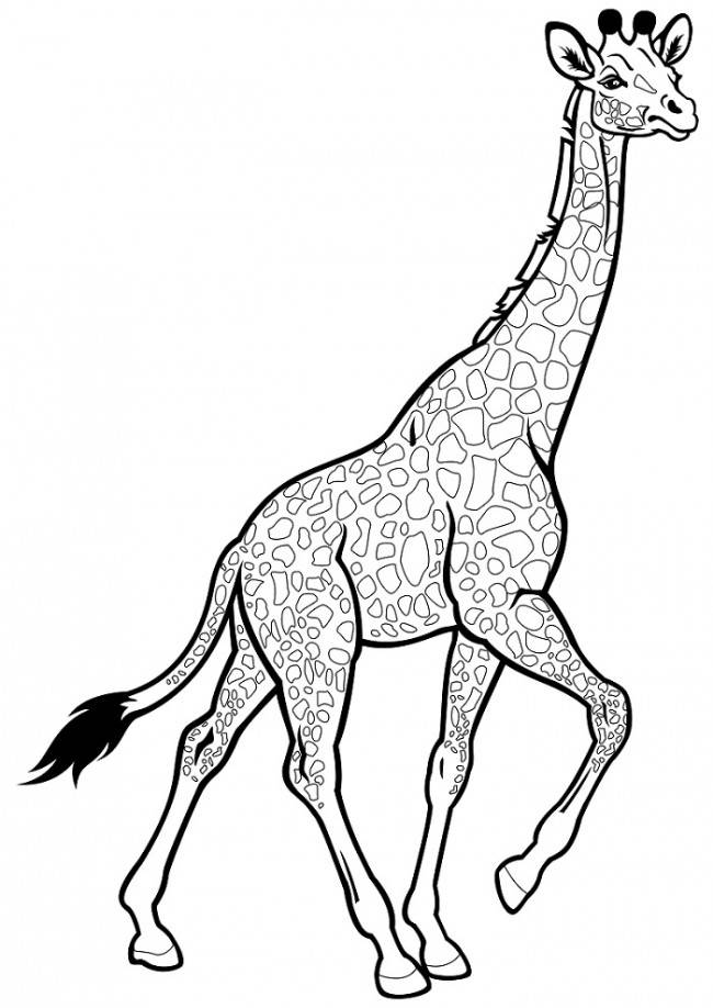 Рисунки жирафа для срисовки 