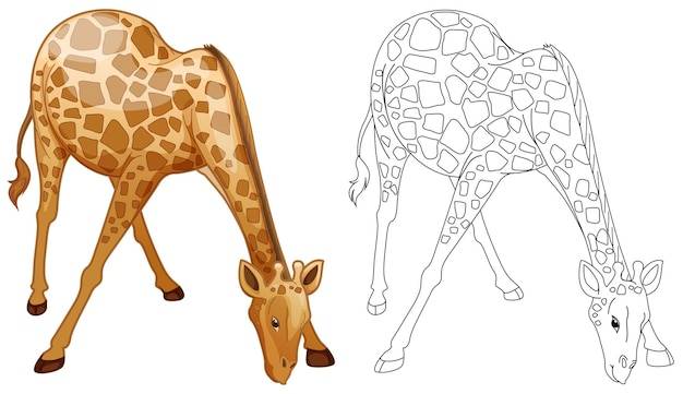 Каракули рисования животных для дикого жирафа