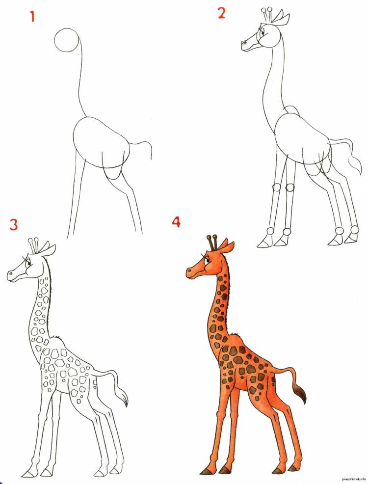Жираф рисунок для детей простой поэтапно 