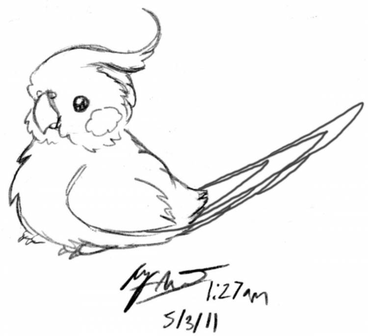 Птичка карандашом легко рисунок