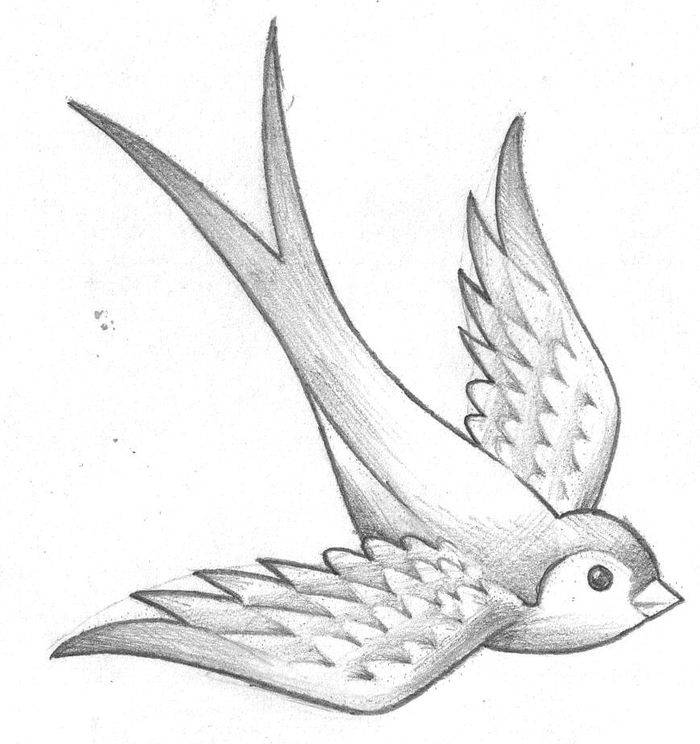 Как нарисовать летящую птицу