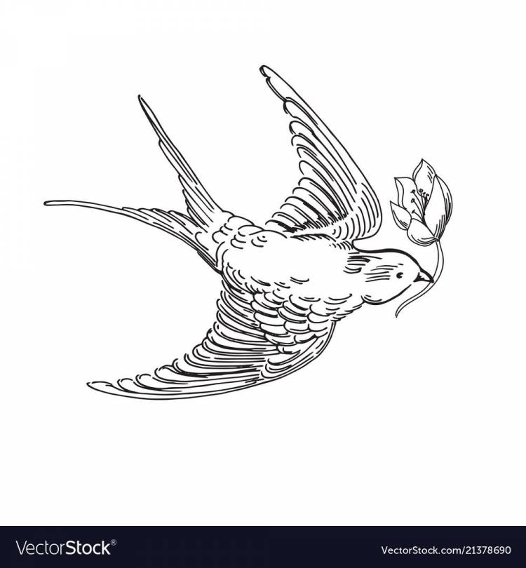 Рисунок карандашом летящая птица