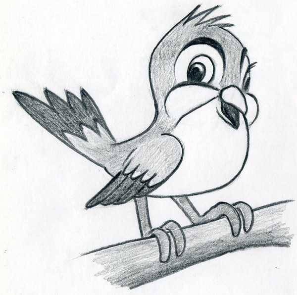 Рисунки птицы карандашом для детей 