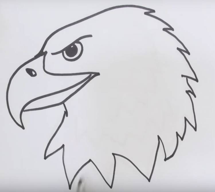 Орел рисунок легкий