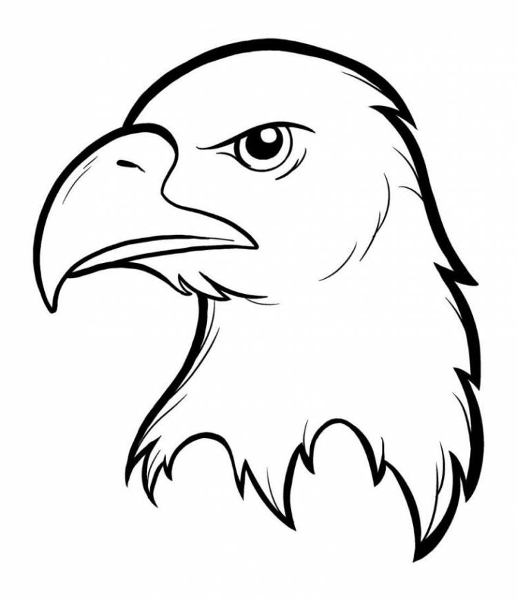 Рисунок маленького орла 