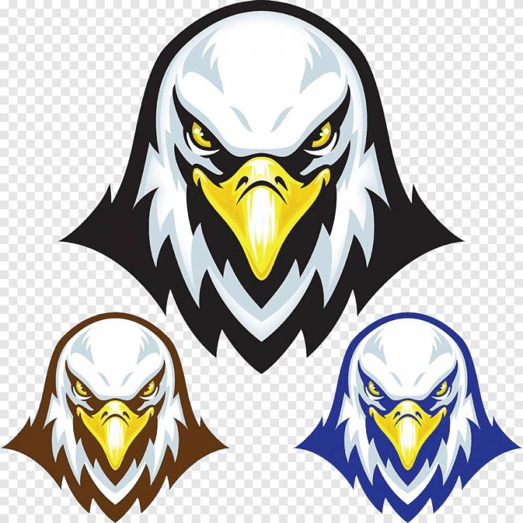 орел голова логотип, животное, свирепый png