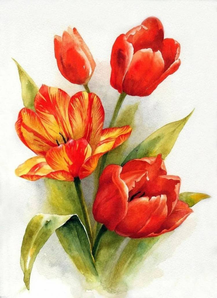 Букет тюльпанов рисунок