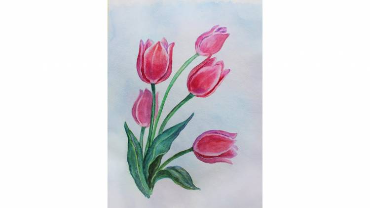 how to draw tulip flower