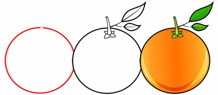 Простой пример как нарисовать апельсин