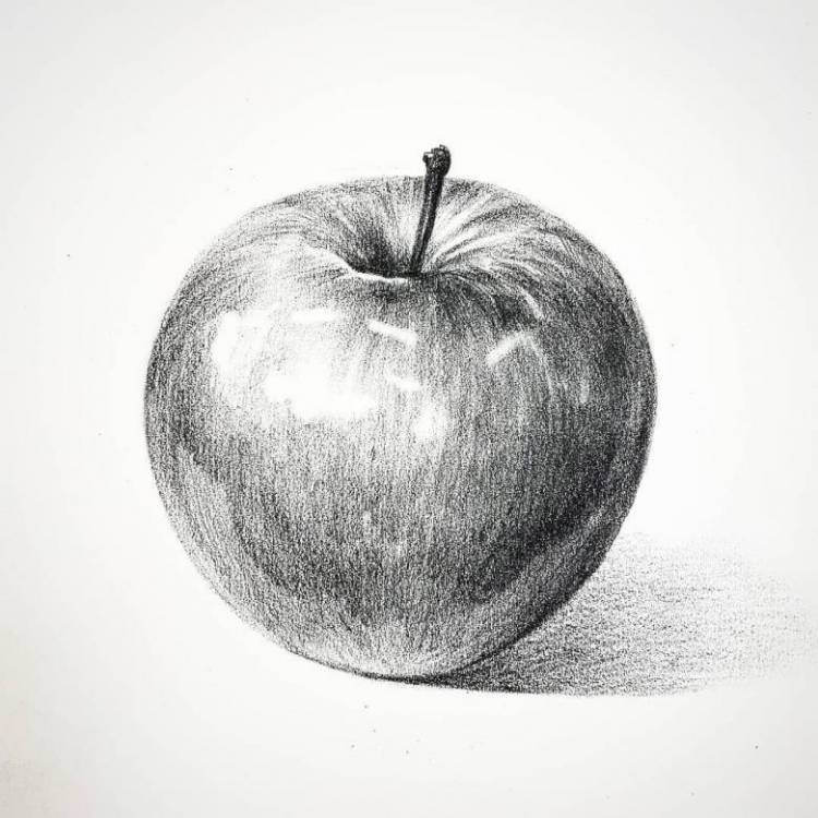 Как нарисовать яблоко карандашом