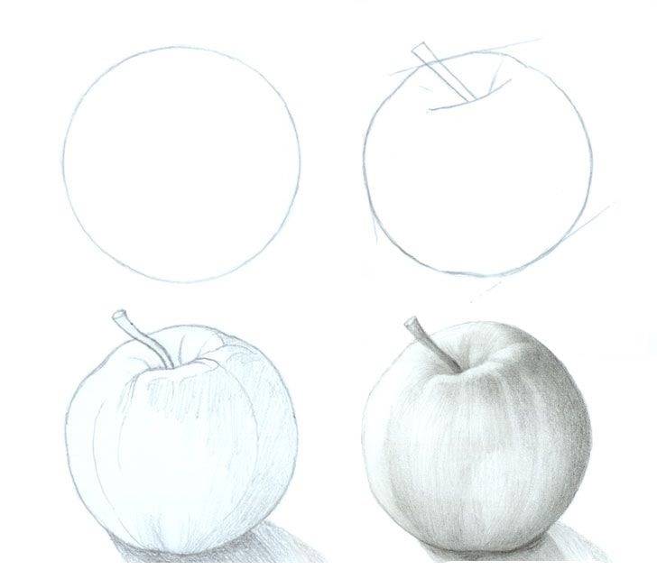 Яблоки Срисовки Легкие Пошаговые Рисунки Для Начинающих Карандашом Простые Идеи Красивые Картинки