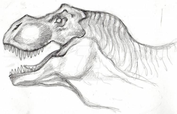 Динозавр рисунок карандашом простой 