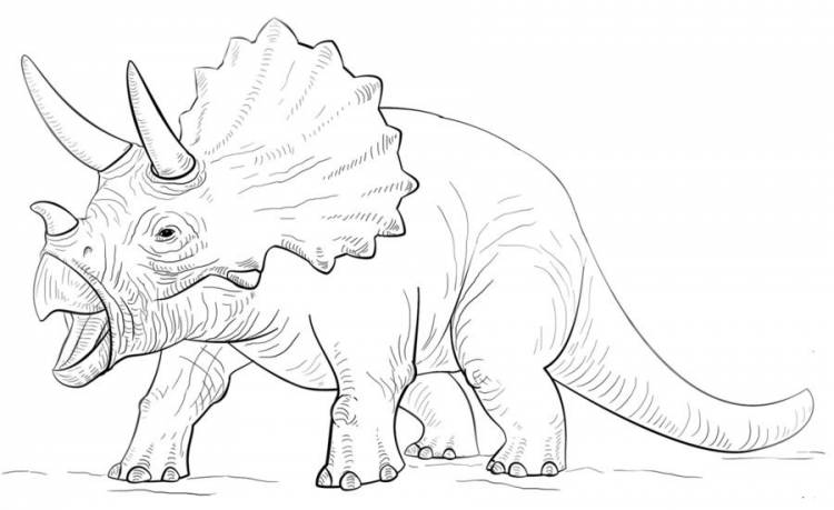 Рисунки для срисовки динозавров (с фото)