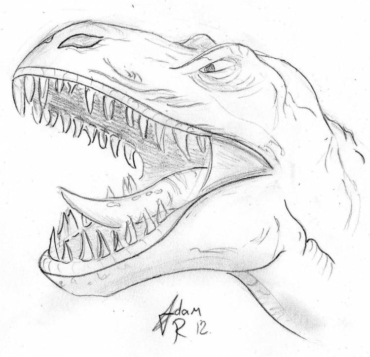 Динозавры карандашом для срисовки
