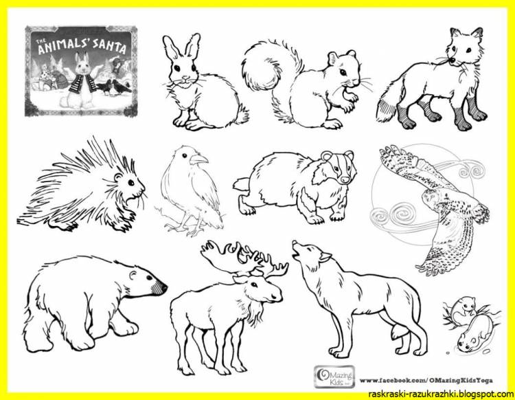 Рисунки детей диких животных для детей 