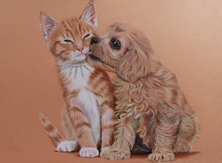 Котик и собачка рисунок
