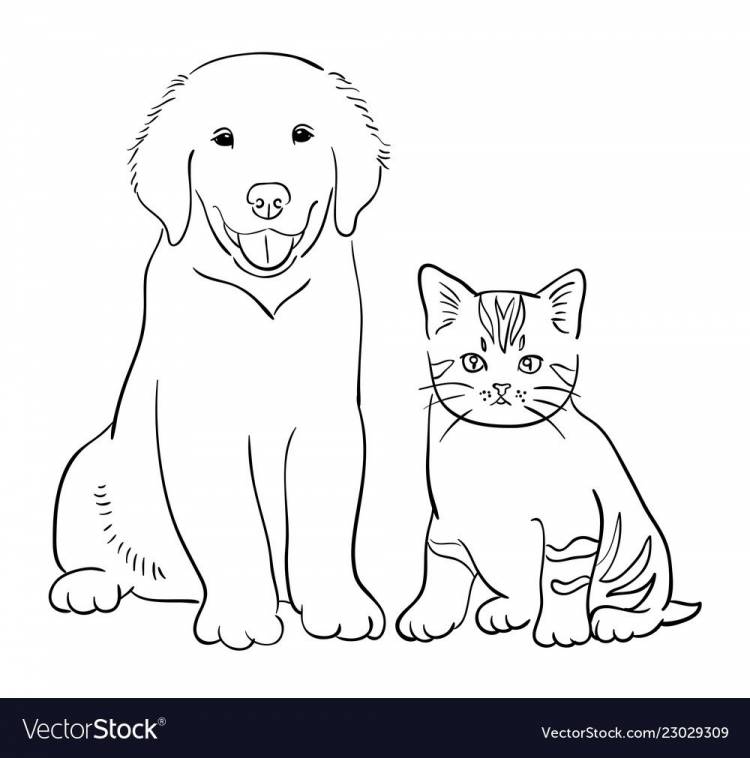 Собака и кот рисунок карандашом