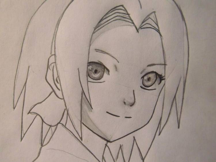 Сакура рисунок карандашом легко из аниме 