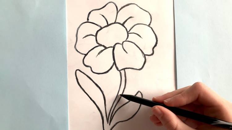 Как НАРИСОВАТЬ КРАСИВЫЙ Цветок карандашом Простые домашние рисунки
