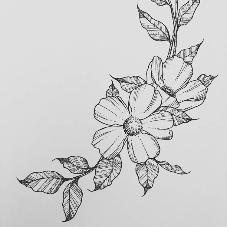 Рисунки для срисовки карандашом легкие цветы