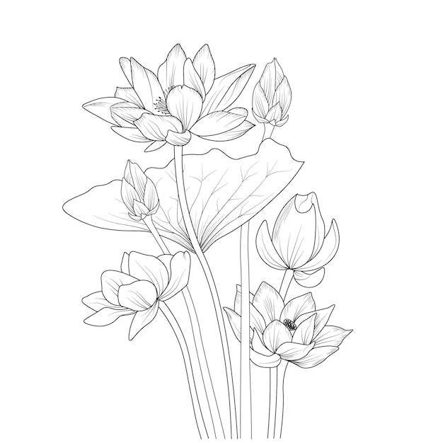Иллюстрация цветка лотоса, векторный рисунок карандашом, страница раскраски букета цветов и книги