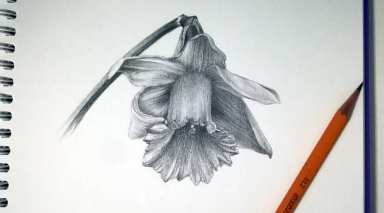 как рисовать цветы