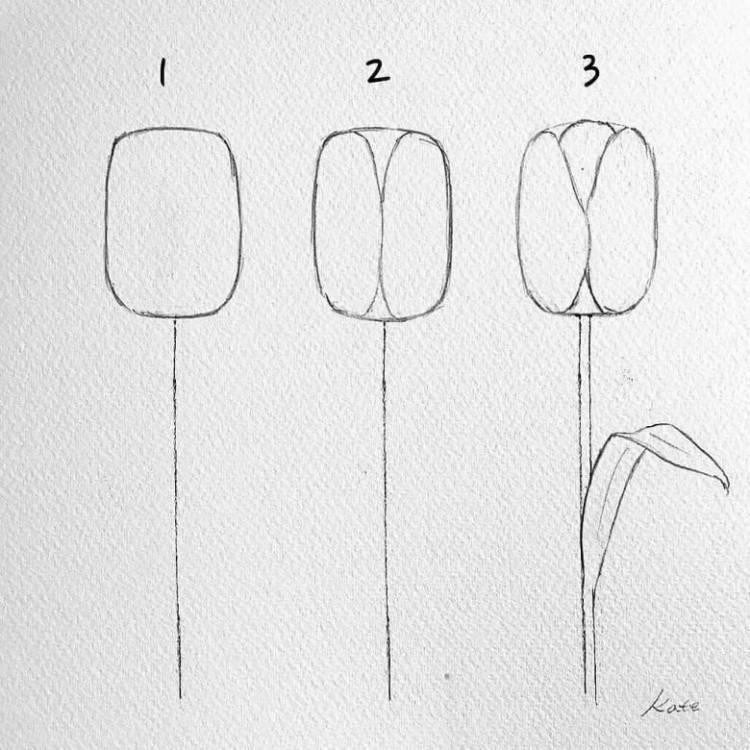 Как нарисовать цветок карандашом
