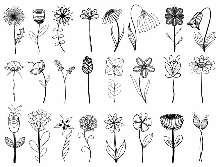 Растения рисунки карандашом для срисовки
