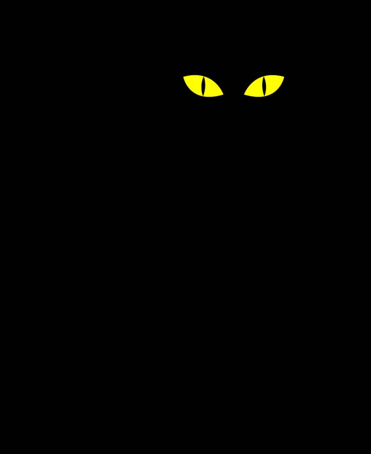 Рисунки черных котов для срисовки 