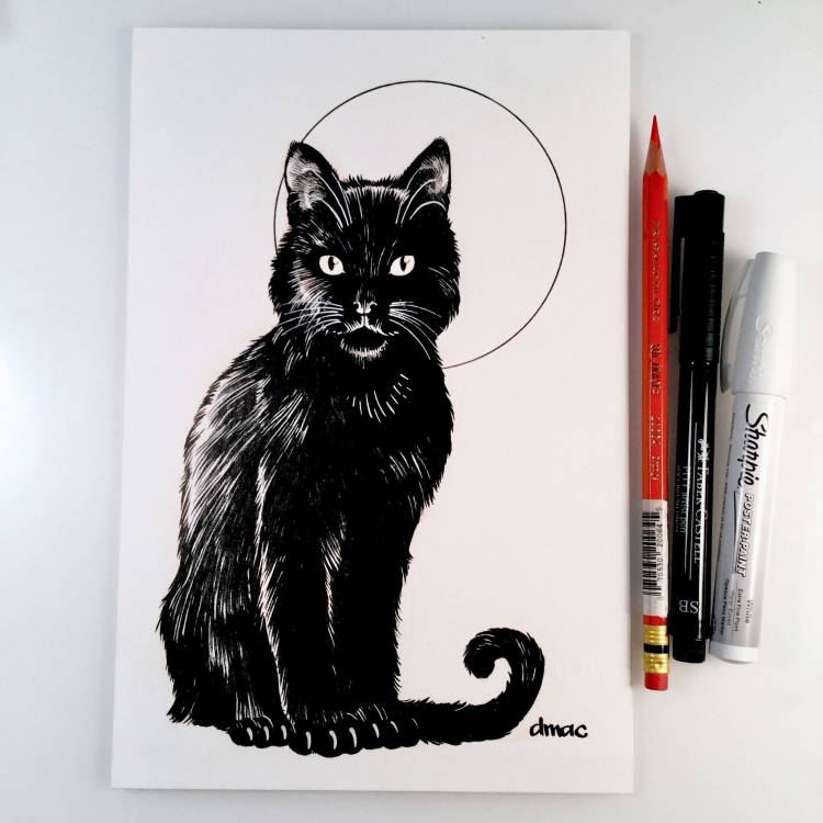 Черный кот для срисовки