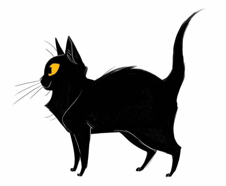 Кот черный нарисованный