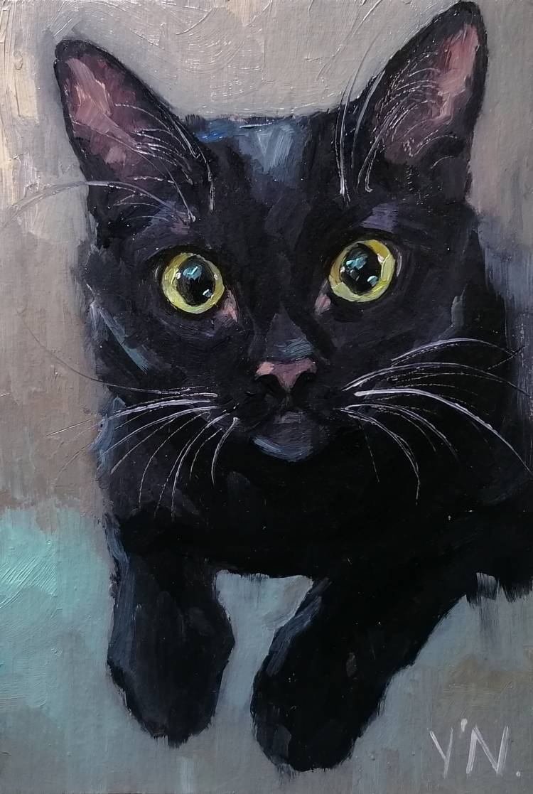 Портрет чёрной кошки