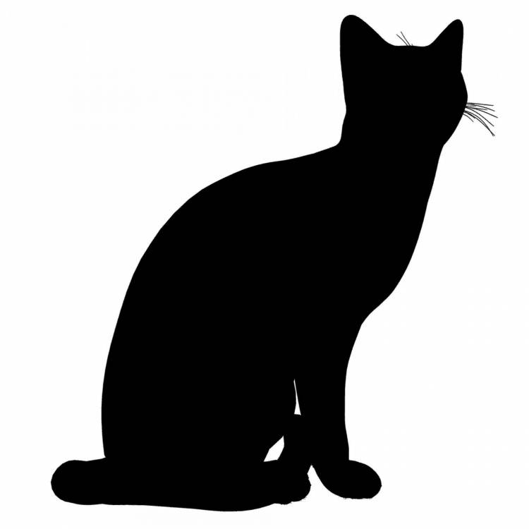 Черный кот рисунок силуэт