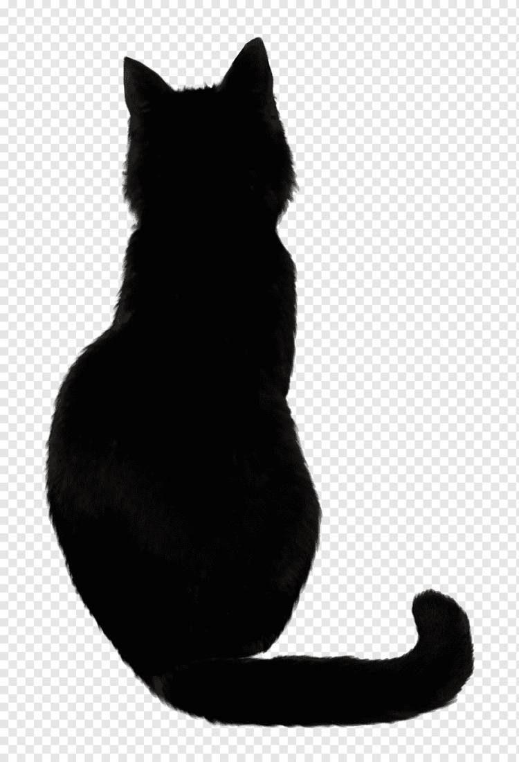 Черная кошка котенок рисунок, кот, млекопитающее, животные, кошка png