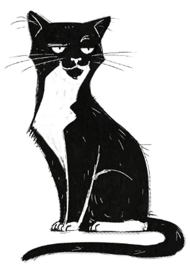 Рисунки черным маркером черной кошки 