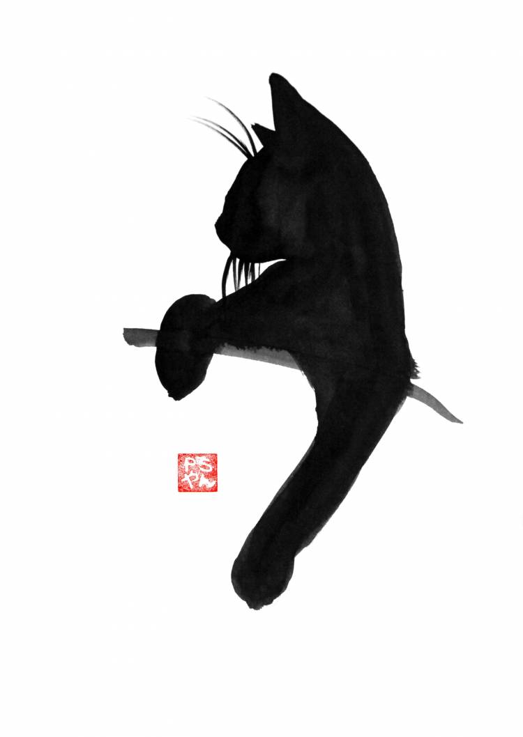 Идеи на тему «Черный кот (рисунок)» 