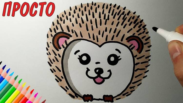 How to draw a cute hedgehog, drawings for children