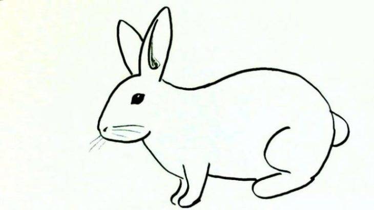 Рисунки зайцев для срисовки 