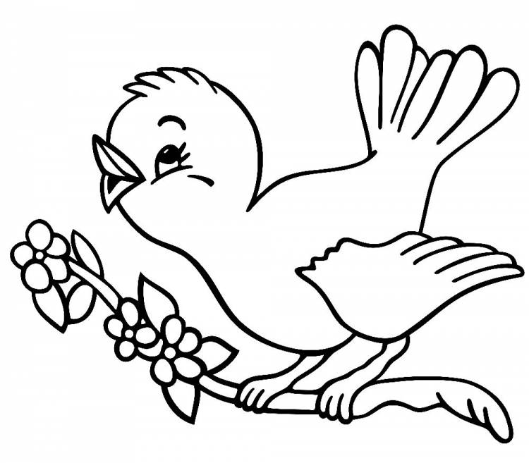 Рисунки птиц для срисовки 