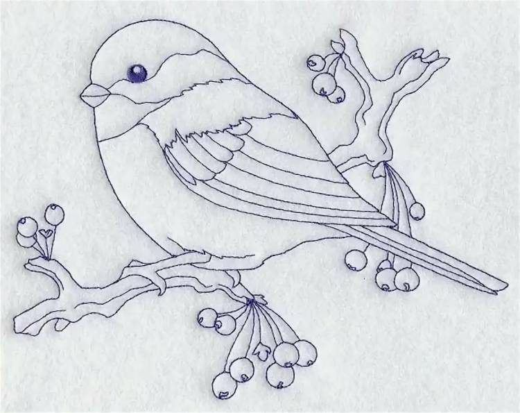 Рисунки на день птиц для срисовки