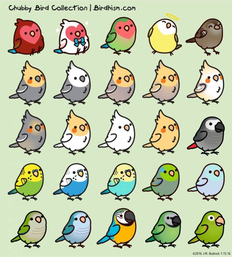 Милые птички рисунки