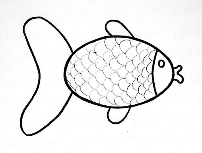 Легкие срисовки с рыбами для дошкольников и школьников