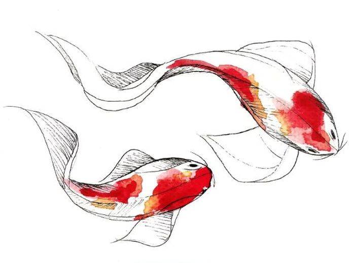 Рисунки рыбы кои