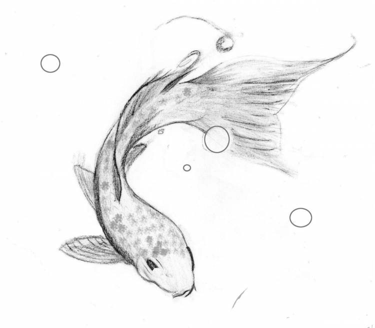 Рисунок рыбы легко