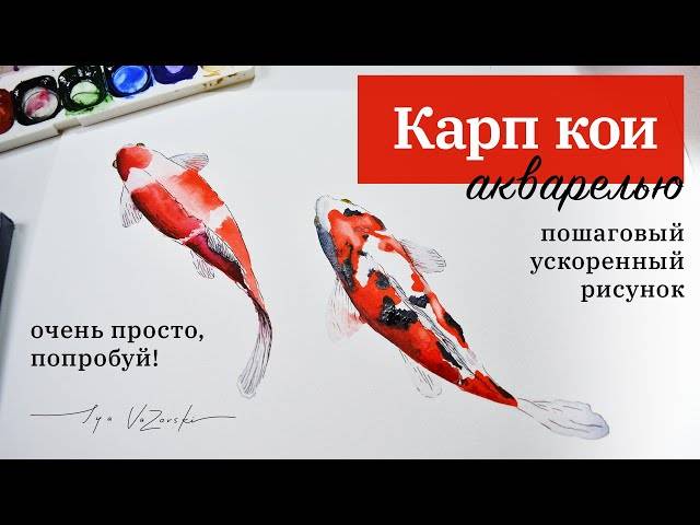 Рисунок Карпа Кои акварелью, уроки рисования Рыб Кои, пошаговый рисунок, ускоренный с подсказками
